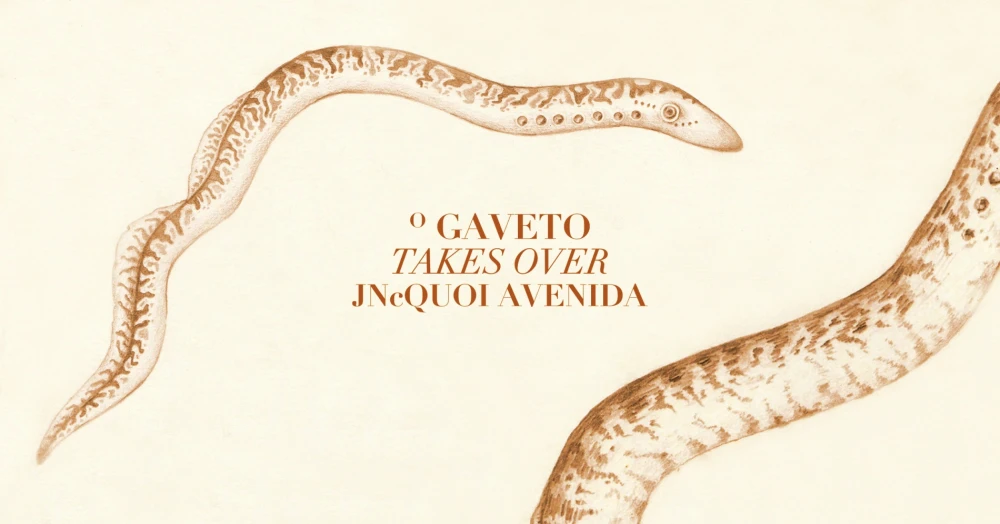 O Gaveto takes over JNcQUOI Avenida
