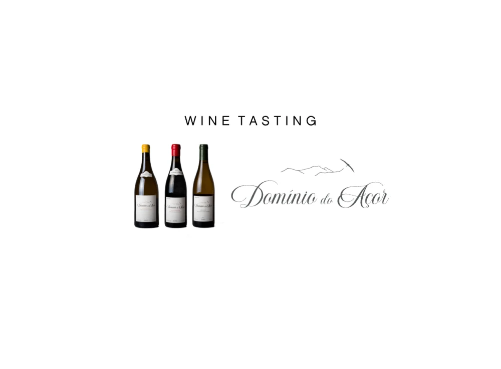 Wine tasting - DOM&Iacute;NIO DO A&Ccedil;OR &ndash; The rejuvenation of D&atilde;o