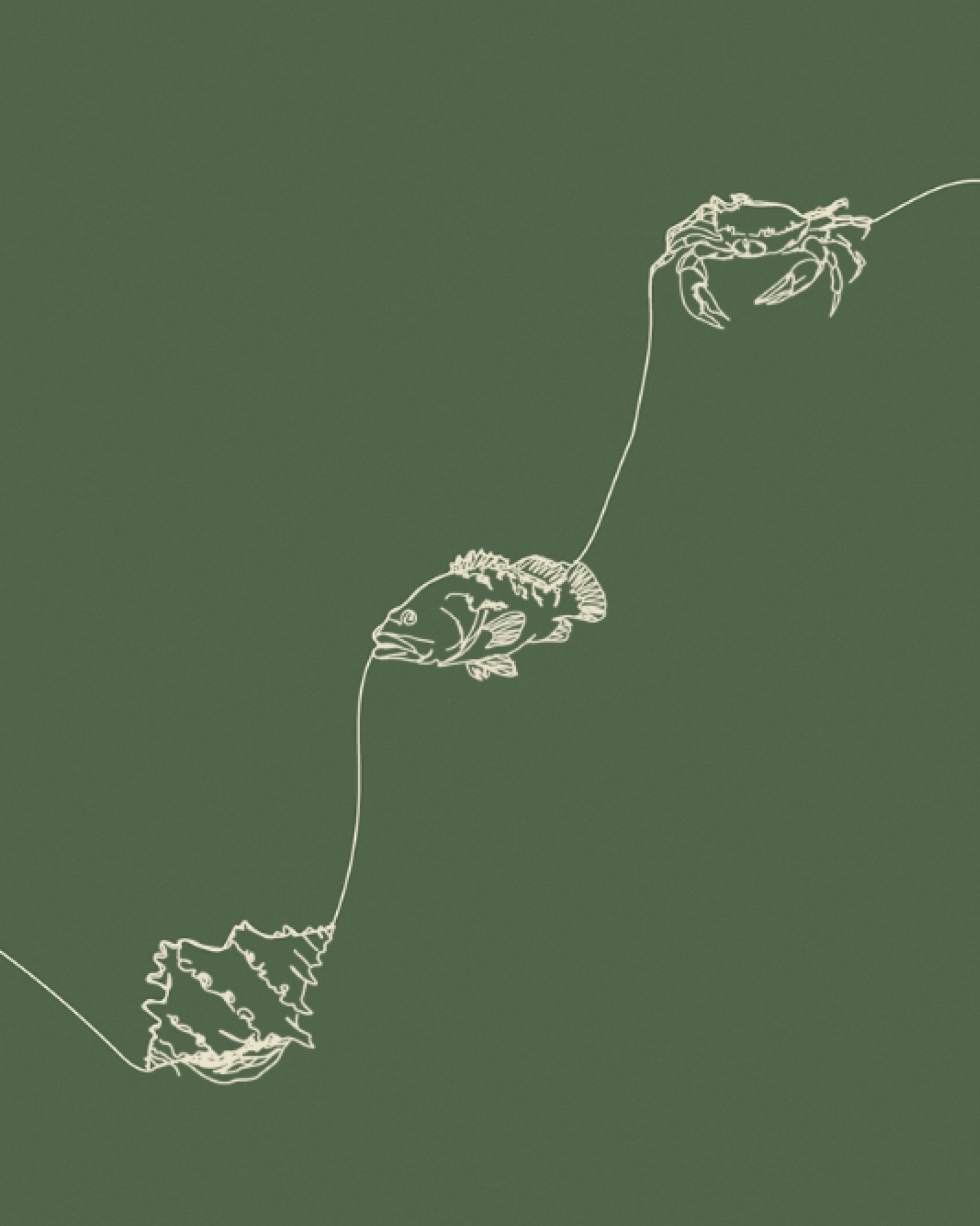 JNcQUOI Table | J&aacute; abriu!