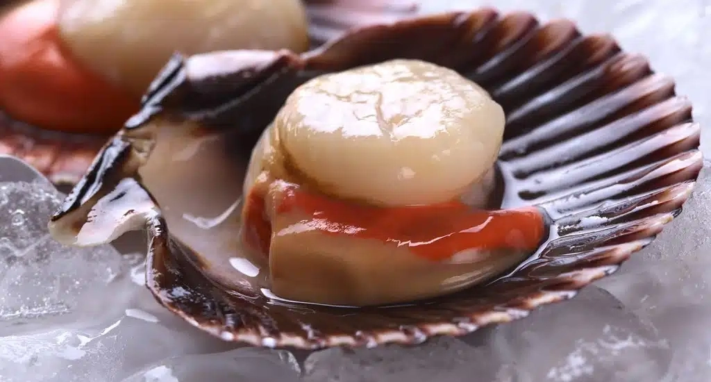 Themed Lunch - Coquilles Saint Jacques