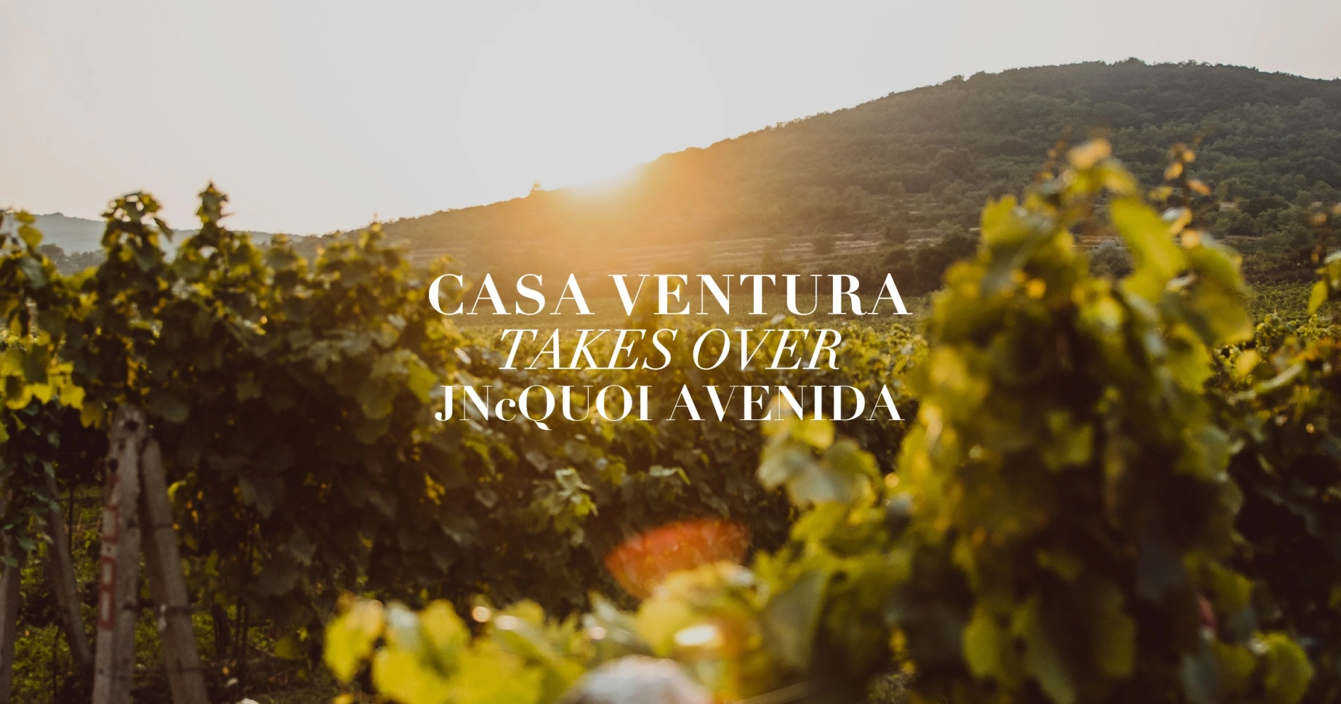 Casa Ventura takes over JNcQUOI Avenida