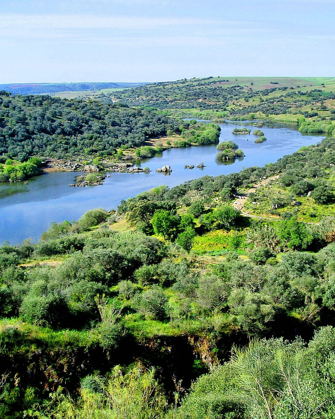 Peixe do Rio Guadiana | JNcQUOI Beach Club