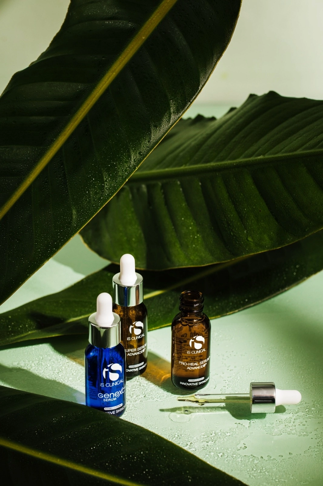 ATELIER BEAUT&Eacute; Master Class with Val&eacute;rie Reysset &amp; iS Clinical