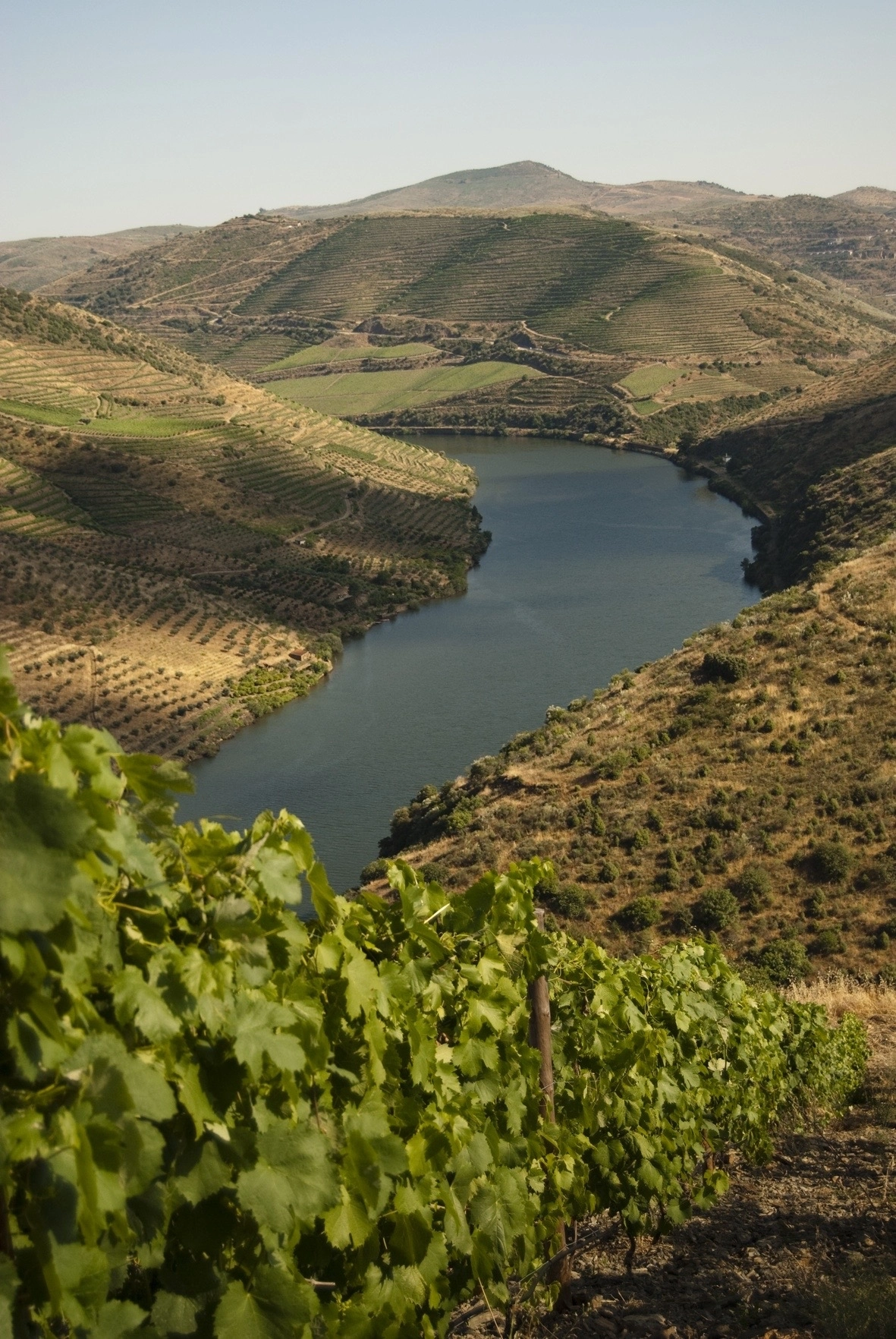 Dinner &amp; Tasting Nicolau de Almeida