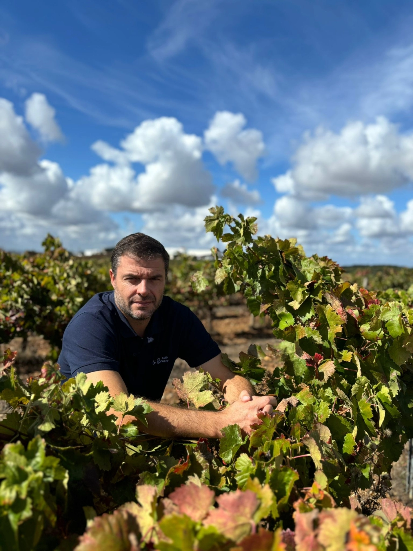 Wine Tasting - Adega do Monte Branco with Lu&iacute;s Louro