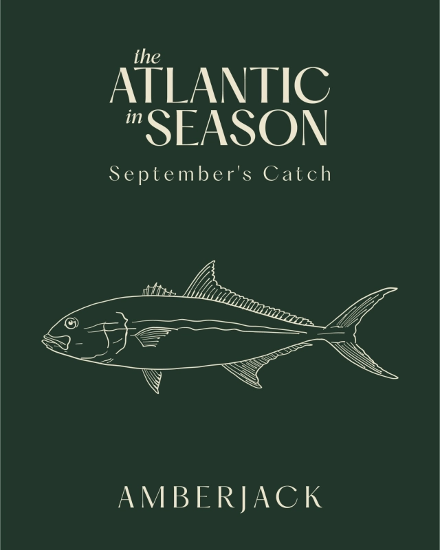 JNcQUOI Fish | The Atlantic in Season