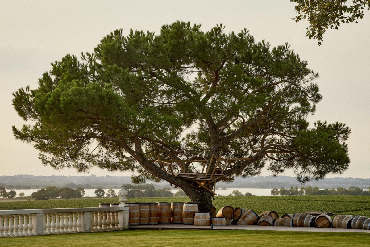 Wine Tasting: Pichon Lalande - A Taste of Elegance and Distinction
