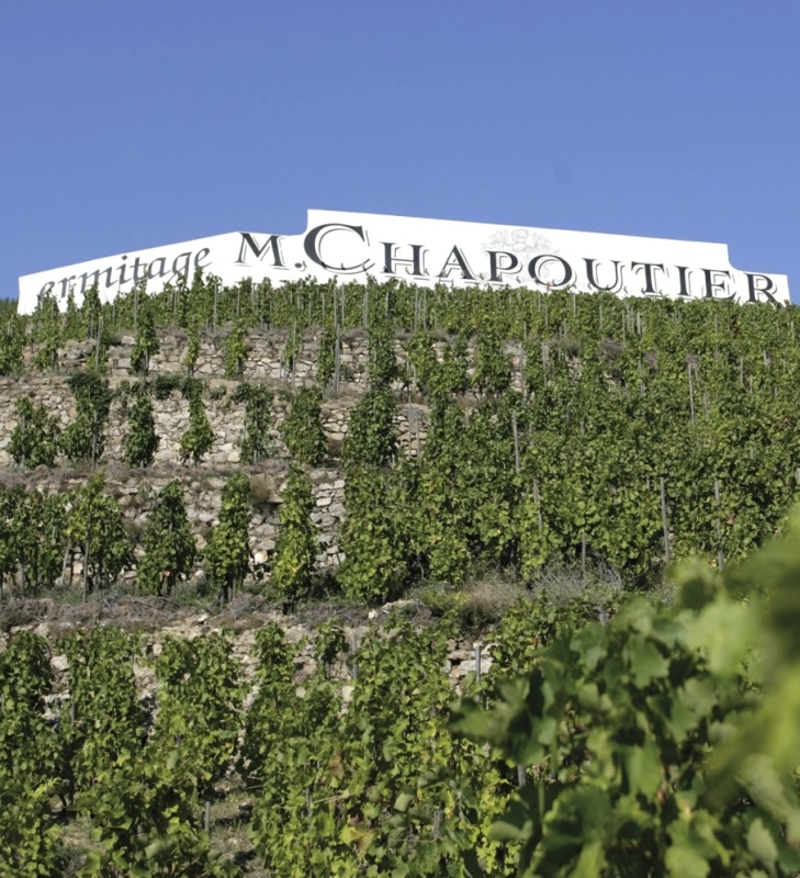 Wine Tasting M. Chapoutier