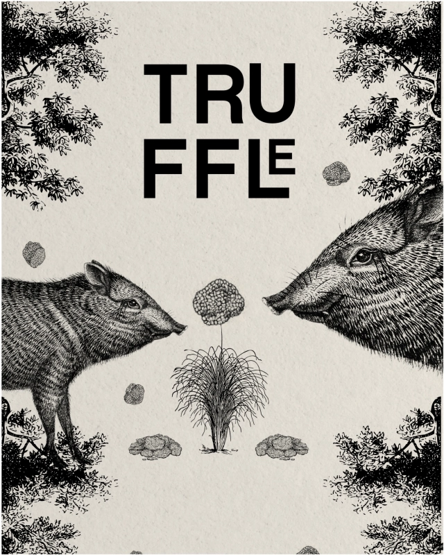 Mês Temático - Época da Trufa