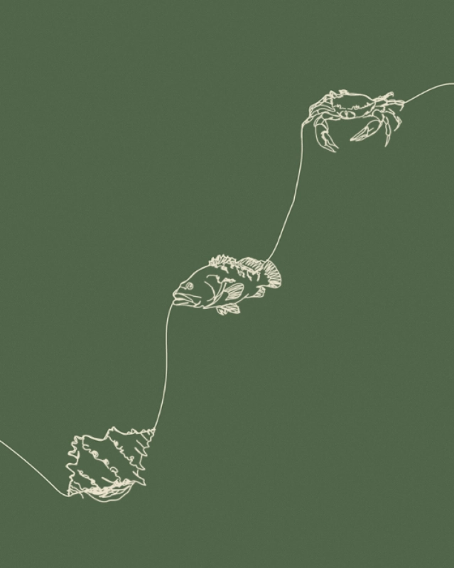 JNcQUOI Table | Já abriu!