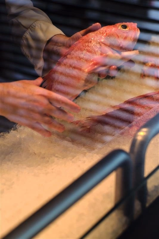 Fresh Fish & Seafood no JNcQUOI Beach Club